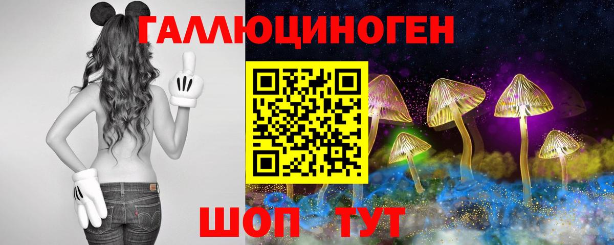 Волгодонск  Псилоцибиновые грибы ЛСД  Псилоцибиновые грибы мицелий  Вход с VPN 